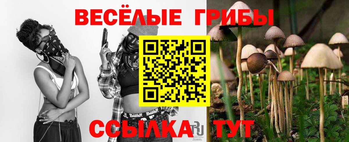 Псилоцибиновые грибы мухоморы Лабытнанги